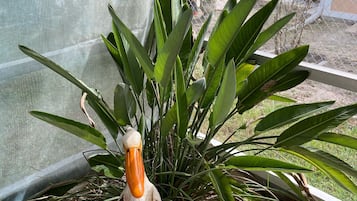 Detalle del exterior