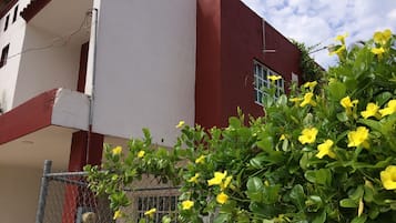 Detalle exterior