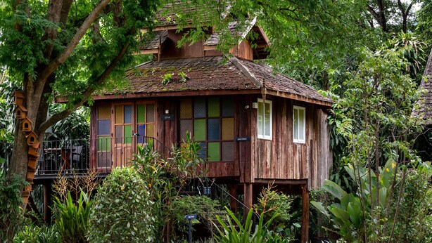 Une maison en bois avec un toit de chaume, entourée d’une végétation luxuriante et de différentes espèces de plantes.