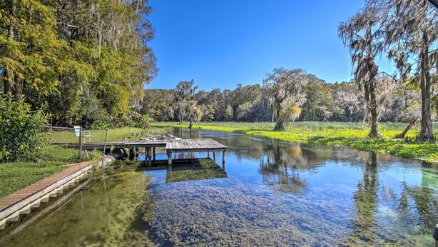 Un río cristalino con un muelle de madera y un puente, rodeado de abundante vegetación y árboles.