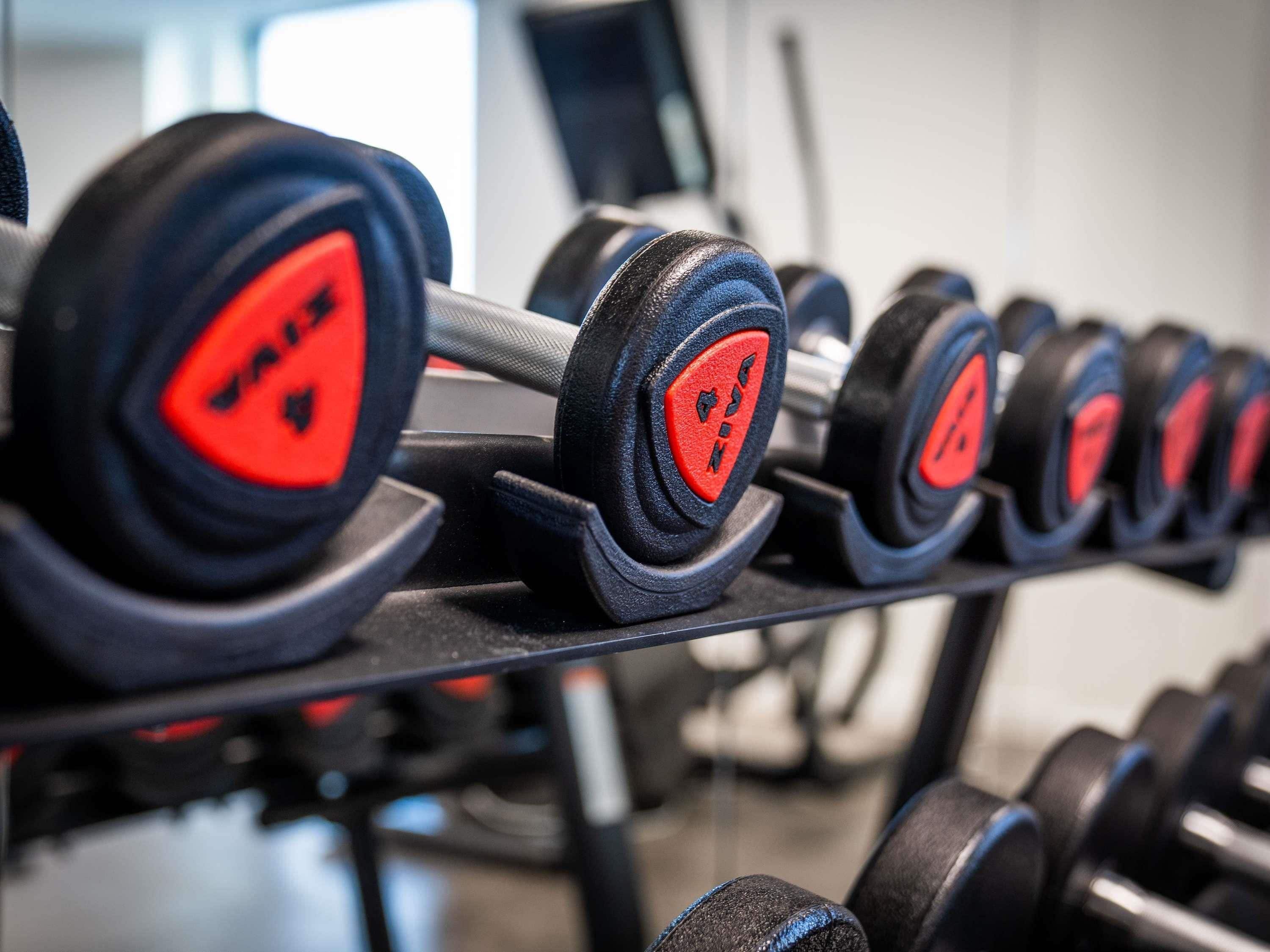 A row of weightlifting dumbbells with red accents on a rack.