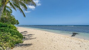 A beach with clear blue water, sandy shore, and a palm tree.