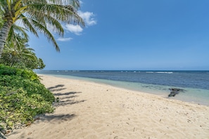 Una playa con agua azul cristalina, orilla arenosa y una palmera.