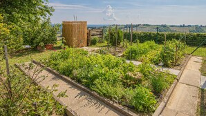 A garden with raised beds and a wooden structure, surrounded by a fence and a clear sky.