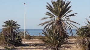 A beach with palm trees and a clear sky. - Bella Djerba (Sidi Salem)