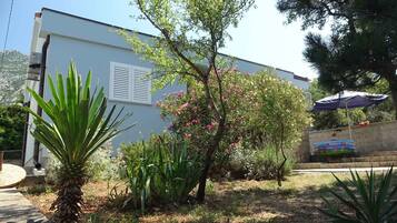 A residential area with a house, a garden with various plants, and a child playing near a pool.