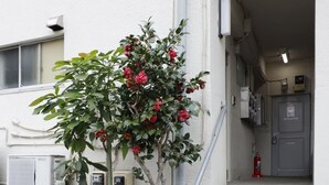 A staircase leading to an apartment entrance with a small tree and red flowers. - G&R House 101 (Tokyo)