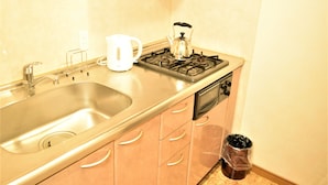 A compact kitchen with a stainless steel sink, a gas stove, and a small oven.