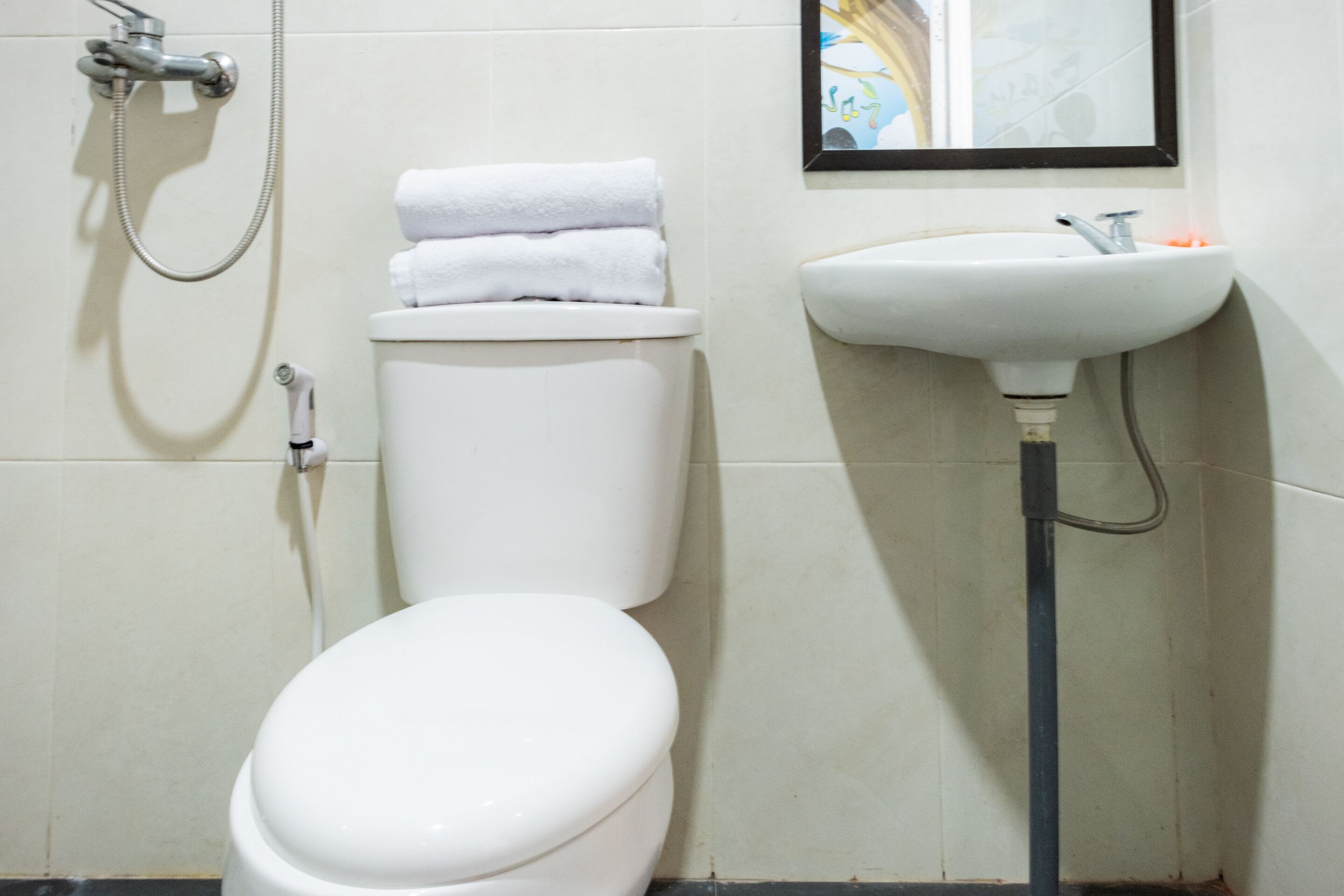Een badkamer met toilet, wastafel en douche.