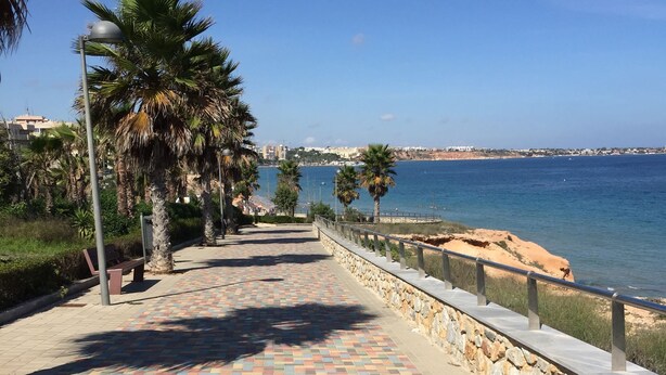 A paved walkway with colorful tiles, bordered by a stone wall and palm trees, leading to a coastal area.
