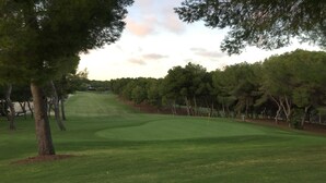 A golf course with a well-maintained green, trees lining the fairway, and a clear sky.