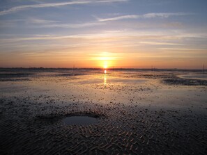 Unclassified image, 3 of 35, button