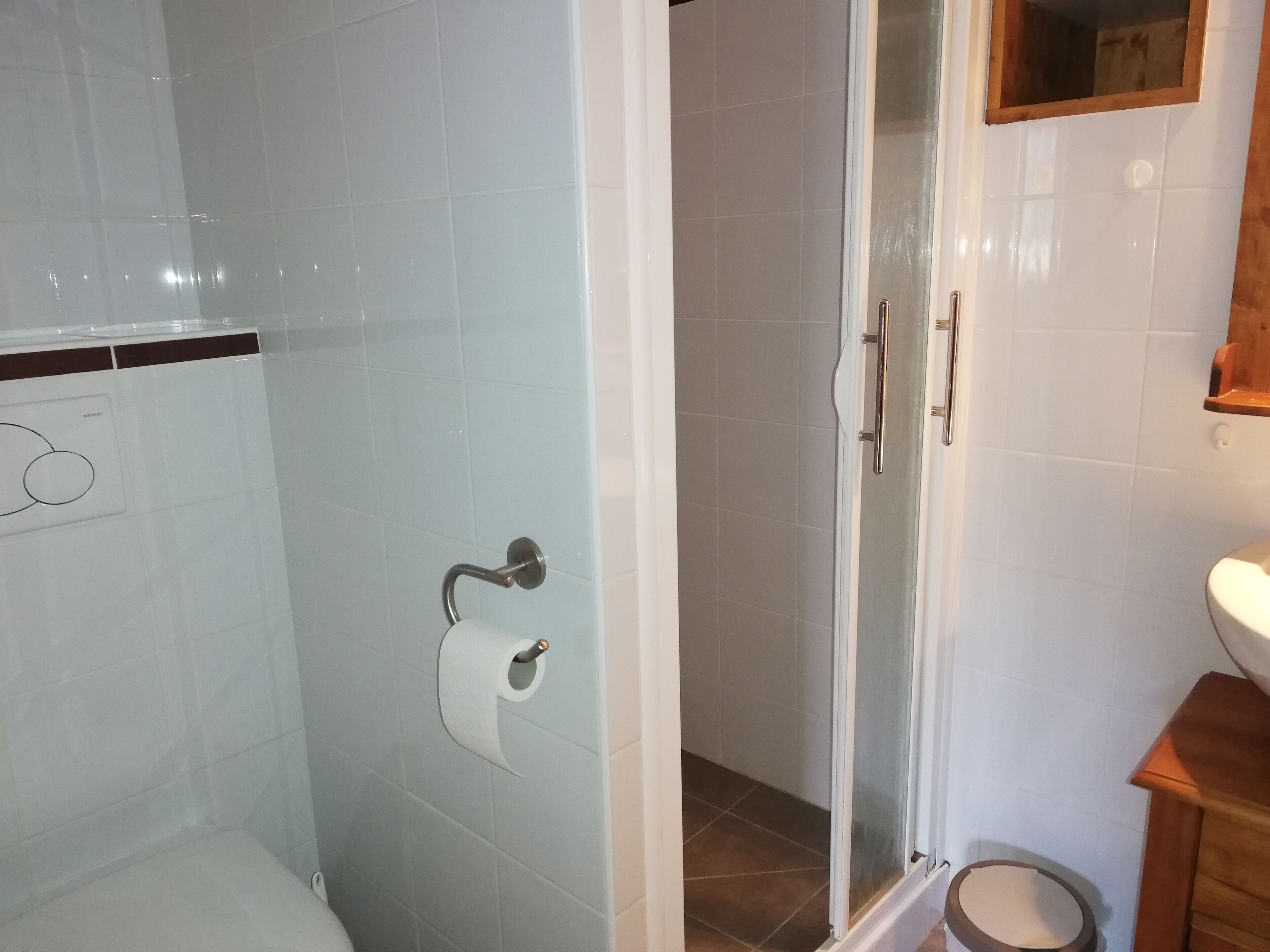 A bathroom with a shower, toilet, and a wooden cabinet.
