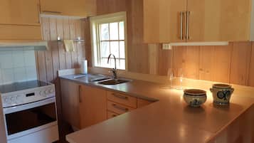 Family Cabin, Private Bathroom (with sleeping loft) | Private kitchen | Fridge, microwave, stovetop, coffee/tea maker