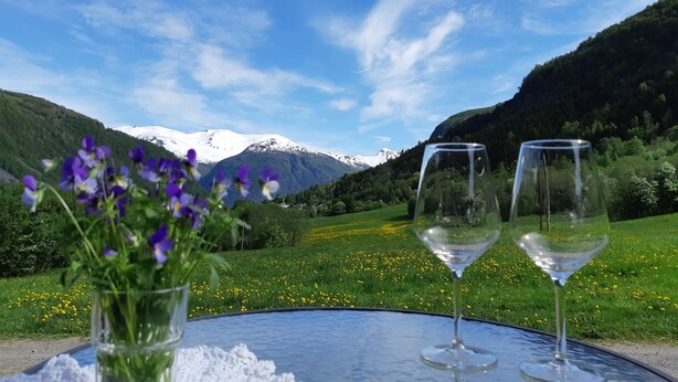 Una mesa con dos copas de vino y un jarrón de flores en un entorno al aire libre con montañas y cielo despejado.