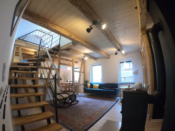 Smart TV, fireplace, books, video library
