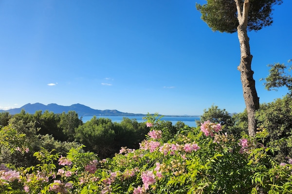 Vue de la terrasse repas