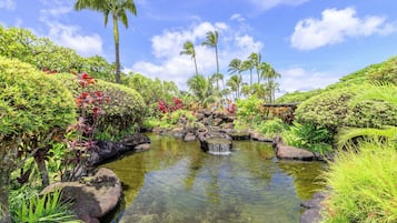 Estúdio | Área da propriedade