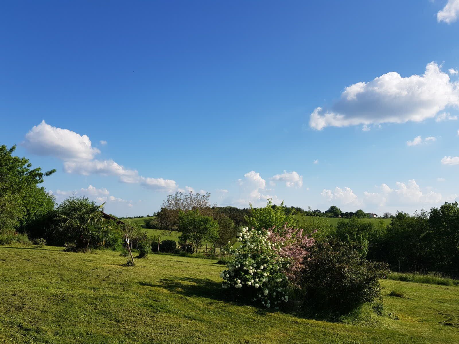A grassy field with a clear blue sky and scattered clouds.