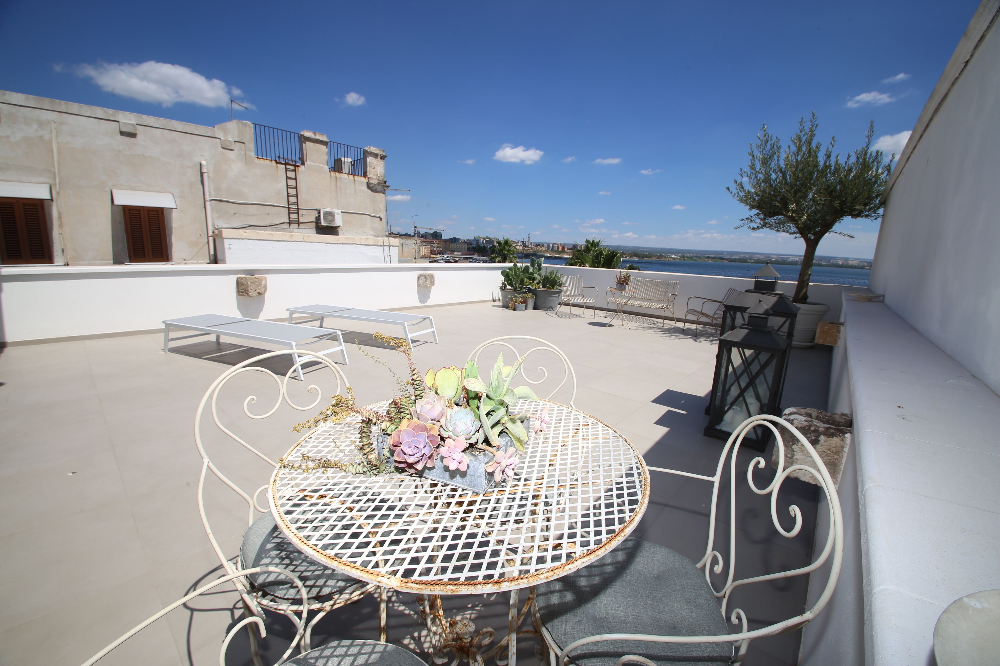 Una terraza en la azotea con una mesa y sillas de metal redondas, rodeada de plantas en macetas y un pequeño árbol.