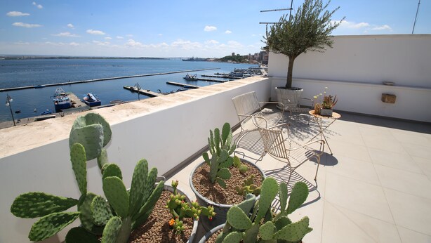 Une terrasse sur le toit agrémentée de cactus en pot, d’une chaise en métal et offrant une vue sur la mer et les bateaux.