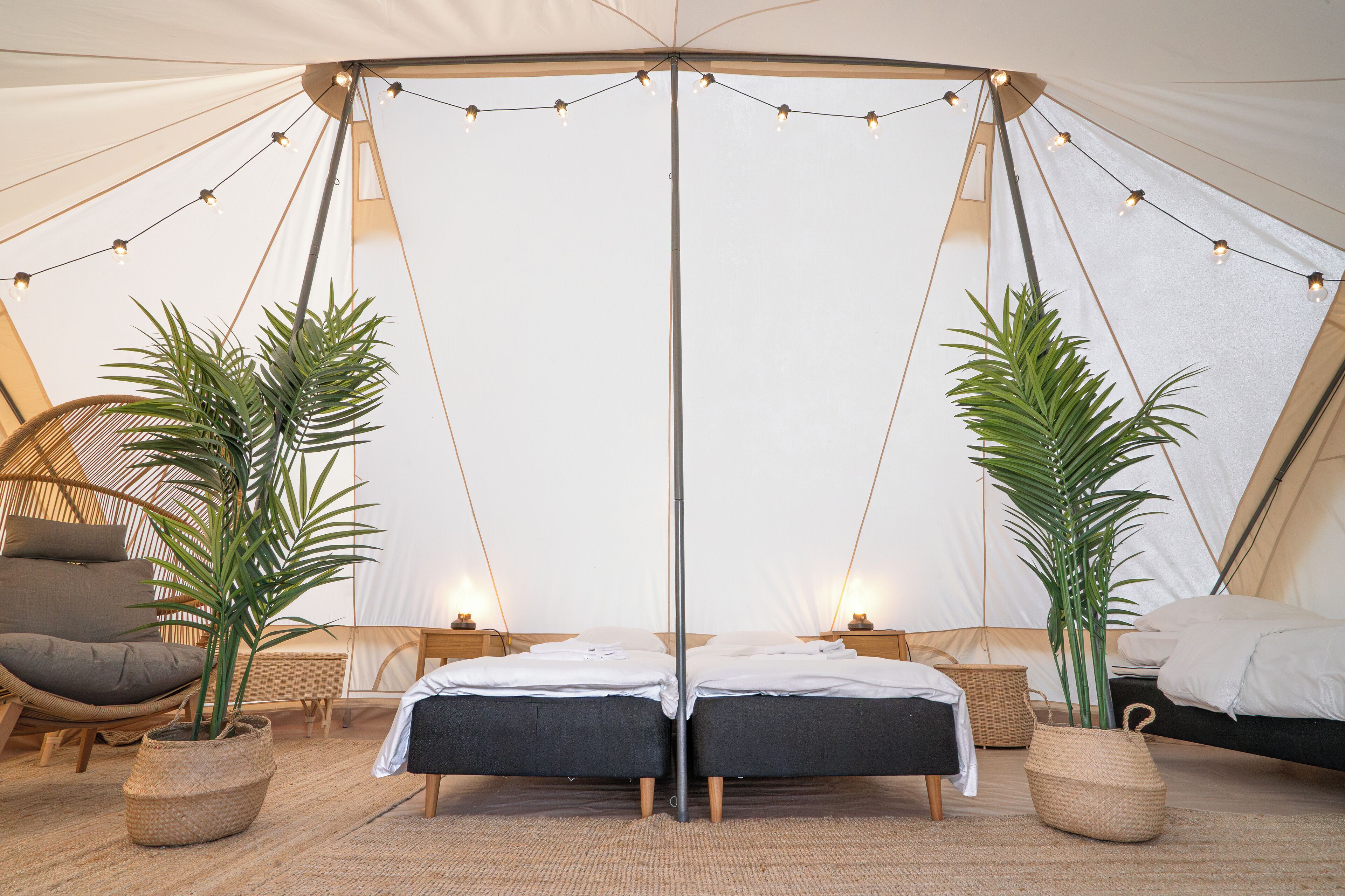 Executive Tent | Free WiFi, bed sheets
