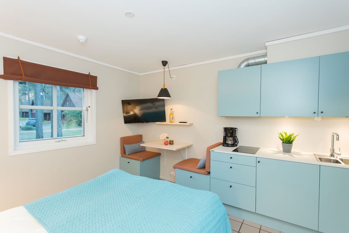 A compact room with a bed, a small desk, a kitchenette, and a TV.