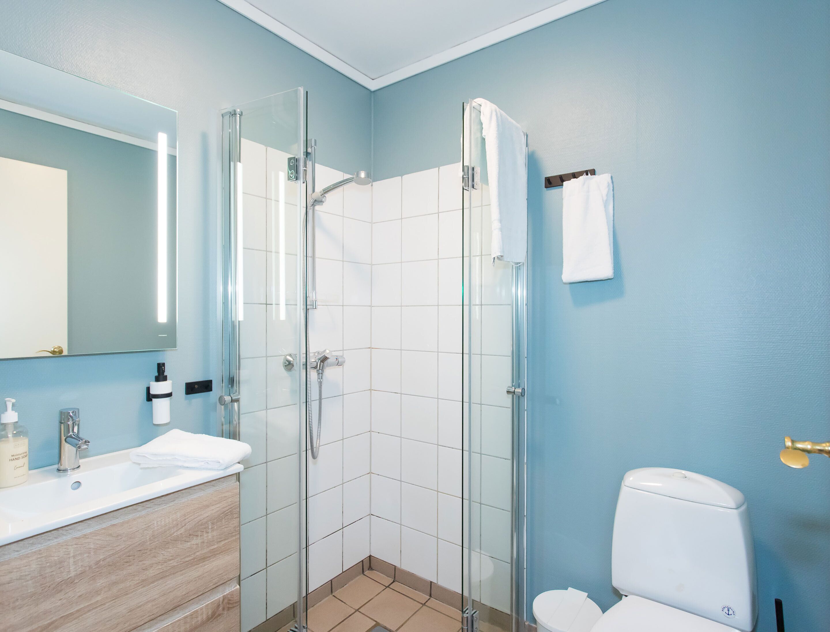 Un bagno con cabina doccia in vetro, un water bianco e un lavabo con articoli da toilette.