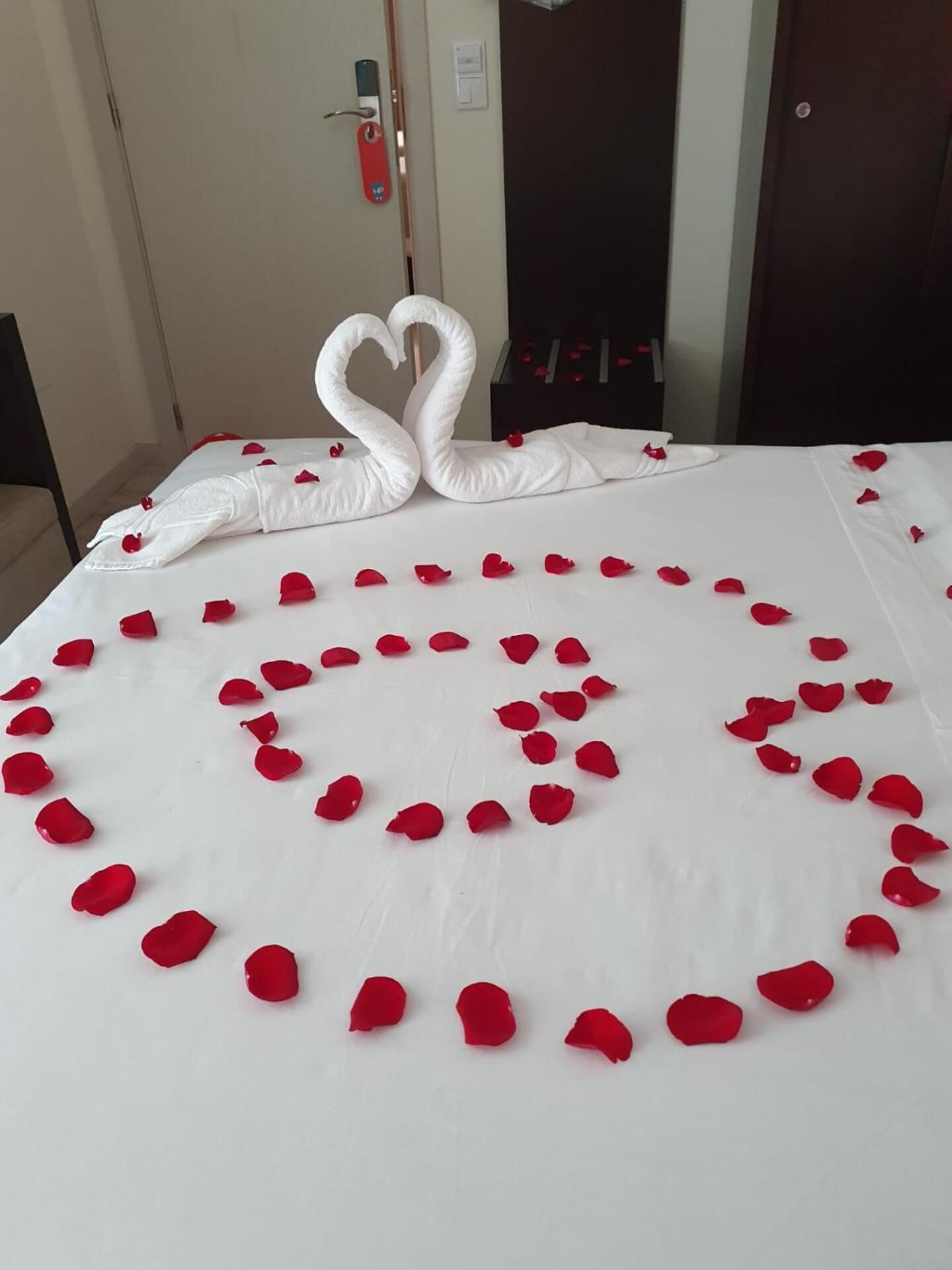 埃及棉床單、高級寢具、羽絨被、獨特裝潢