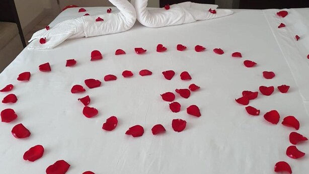 A bed with a white sheet and red rose petals arranged in a heart shape. - Primavera (Amadora)
