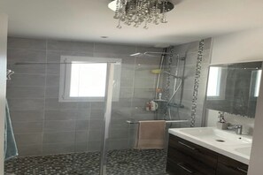 Une salle de bain avec une douche, un lavabo et un miroir.