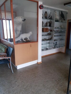 Entrada interior