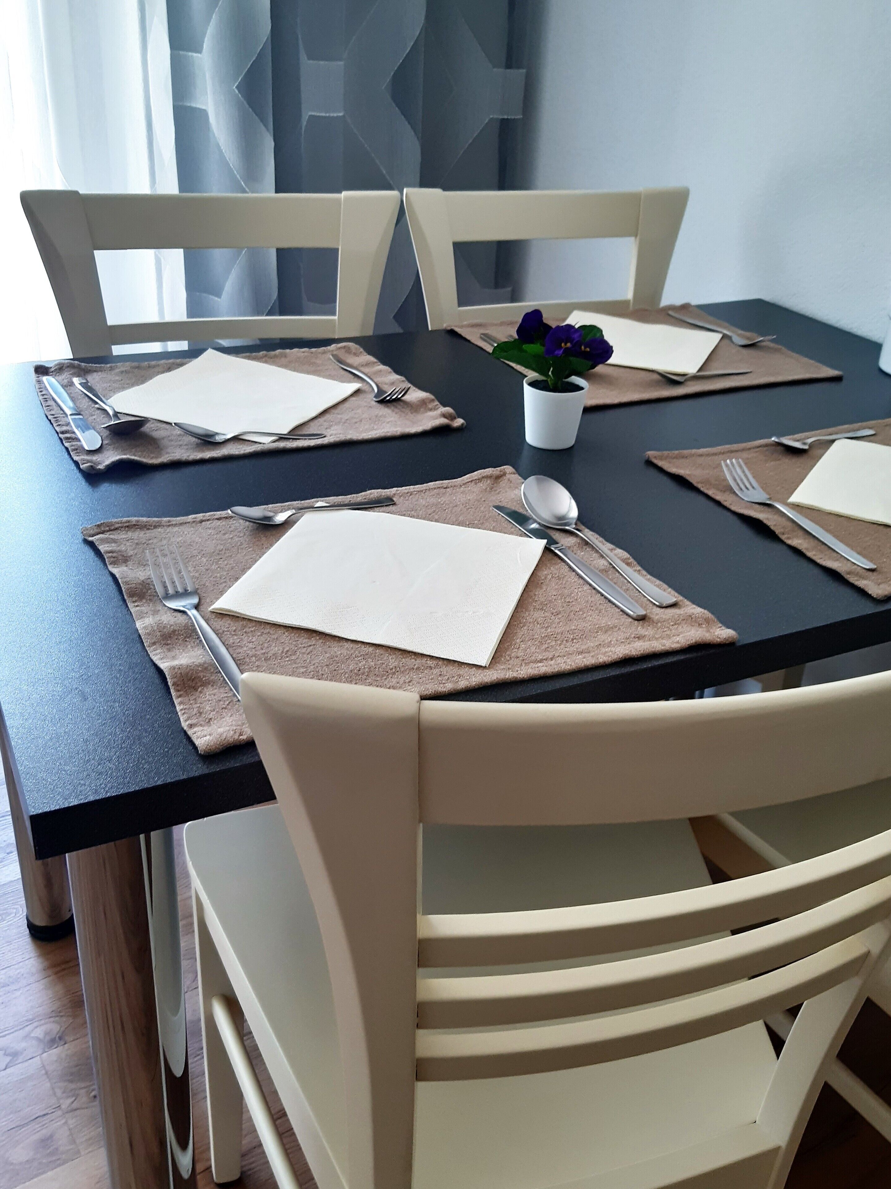 A dining table set with placemats, cutlery, and a small potted plant.