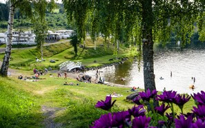 Een park aan het meer met een witte brug, picknickplaatsen en een graslaan.