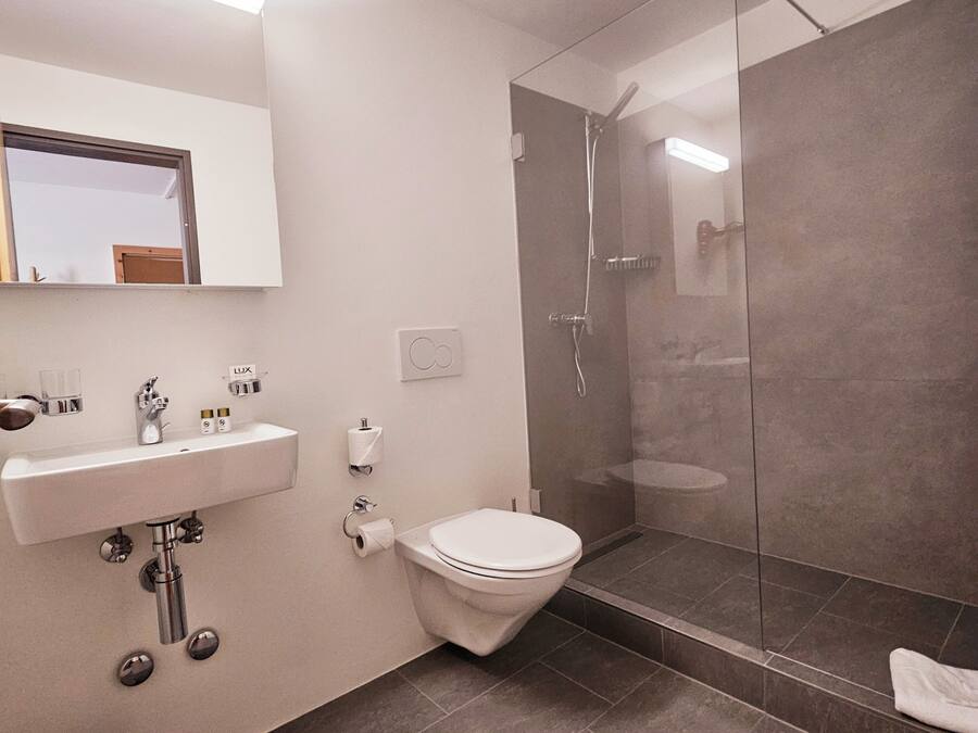 A modern bathroom with a sink, toilet, and glass-enclosed shower.