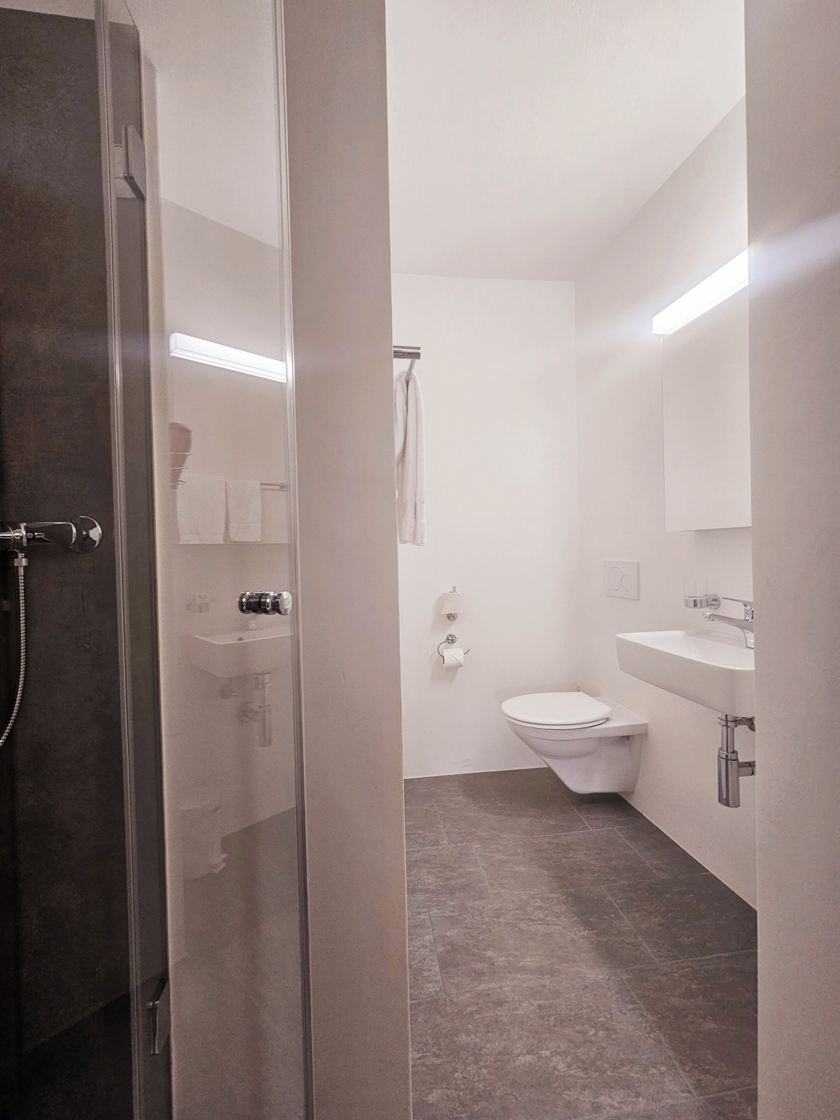 A modern bathroom with a glass shower enclosure, a toilet, a sink, and a mirror.