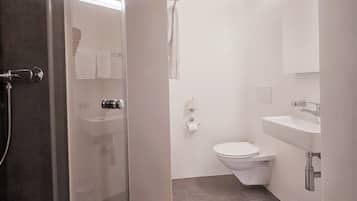 A modern bathroom with a glass shower enclosure, a toilet, a sink, and a mirror.