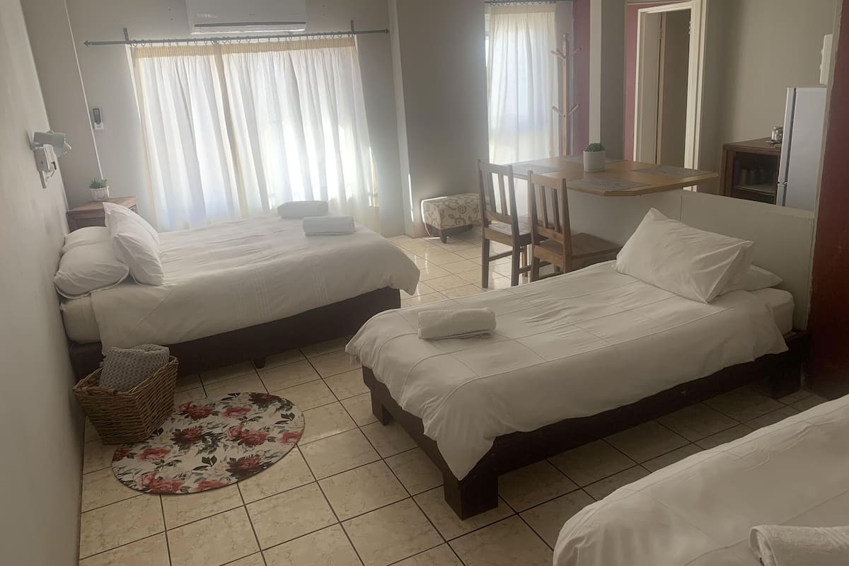Una habitación de hotel con dos camas, un escritorio, una silla, una mesita, un espejo y una planta en maceta.