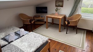 Ein Loft-Zimmer mit Dachfenster, einem Fernseher, einem kleinen Tisch mit einer Vase, zwei Korbstühle, einer Couch und Blick auf Grünfläche.