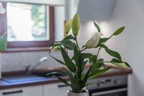 Køleskab, mikrobølgeovn, ovn, kogeplade