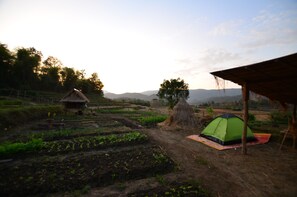 Property grounds - Nakhaohorm Farming Resort (Luang Prabang)