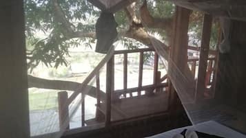 Family Tree House, Shared Bathroom, Mountain View | View from room