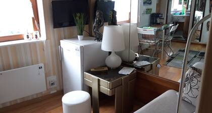STUDIO GREEN near city center, free parking, wifi, at banks of river Sava