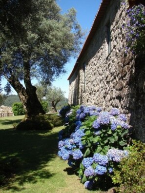 Detalle exterior