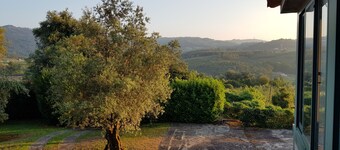 Casa da Colmeia, a pretty farmhouse for relaxation & rest (maximum 5 people)