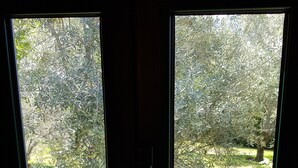 Ein Fenster mit Blick auf einen Garten.