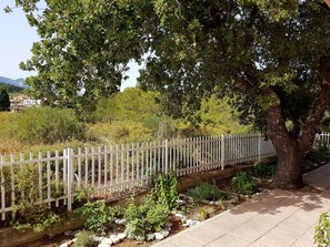 Ein Garten mit Holzzaun, Baum und gepflastertem Weg.