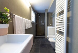 Regadera, secadora de cabello, bidet, toallas 