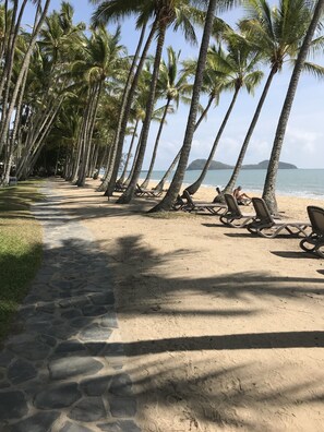 Ein Strand mit einem gepflasterten Weg, gesäumt von Palmen und Liegestühlen.