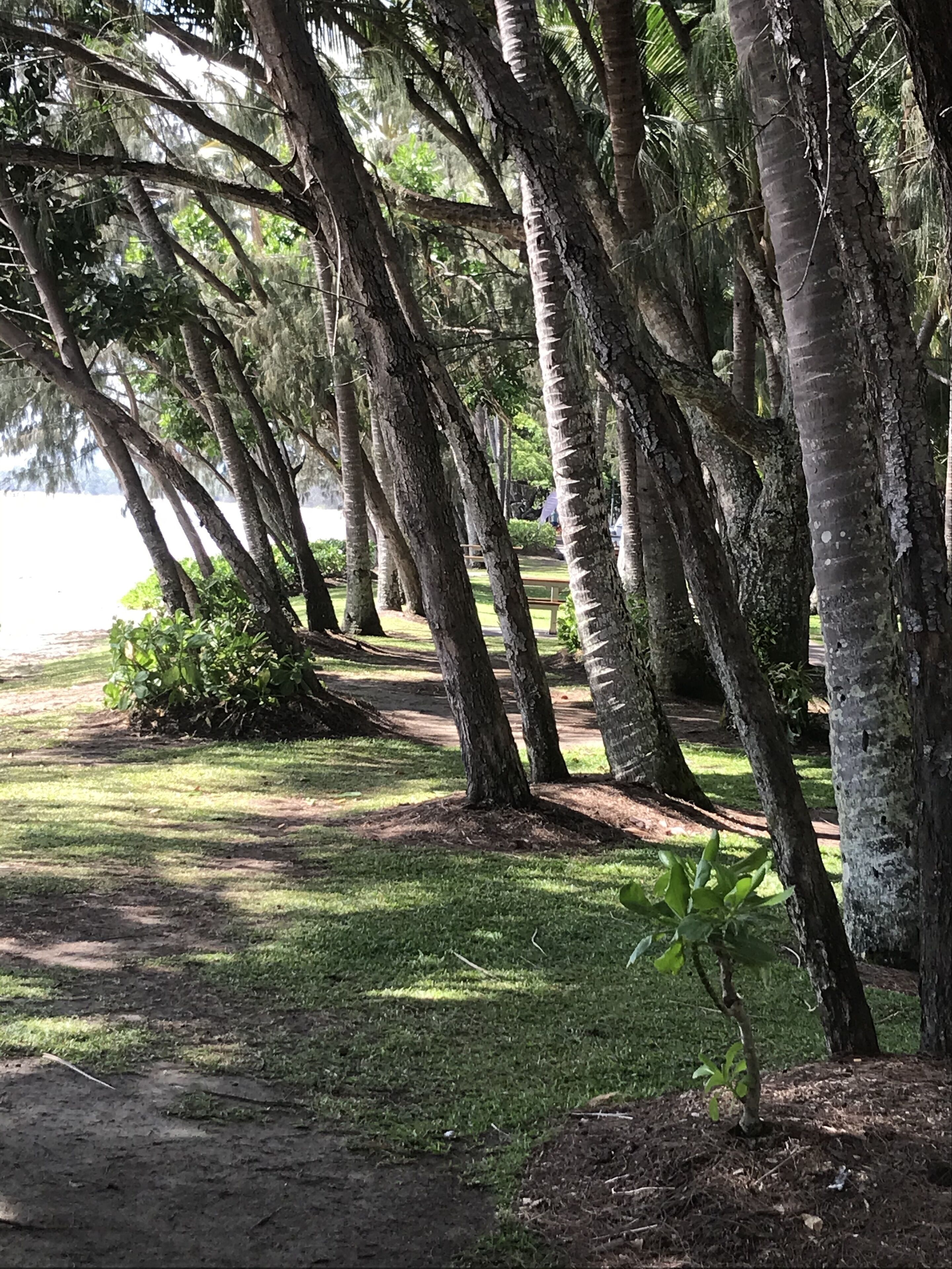 Secluded tropical apartment — image 27